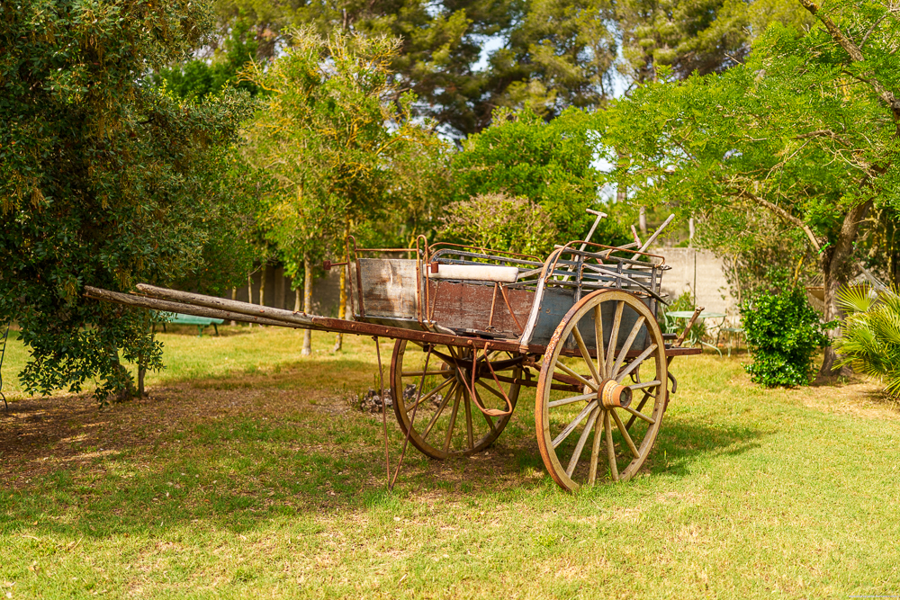 La charrette camarguaise