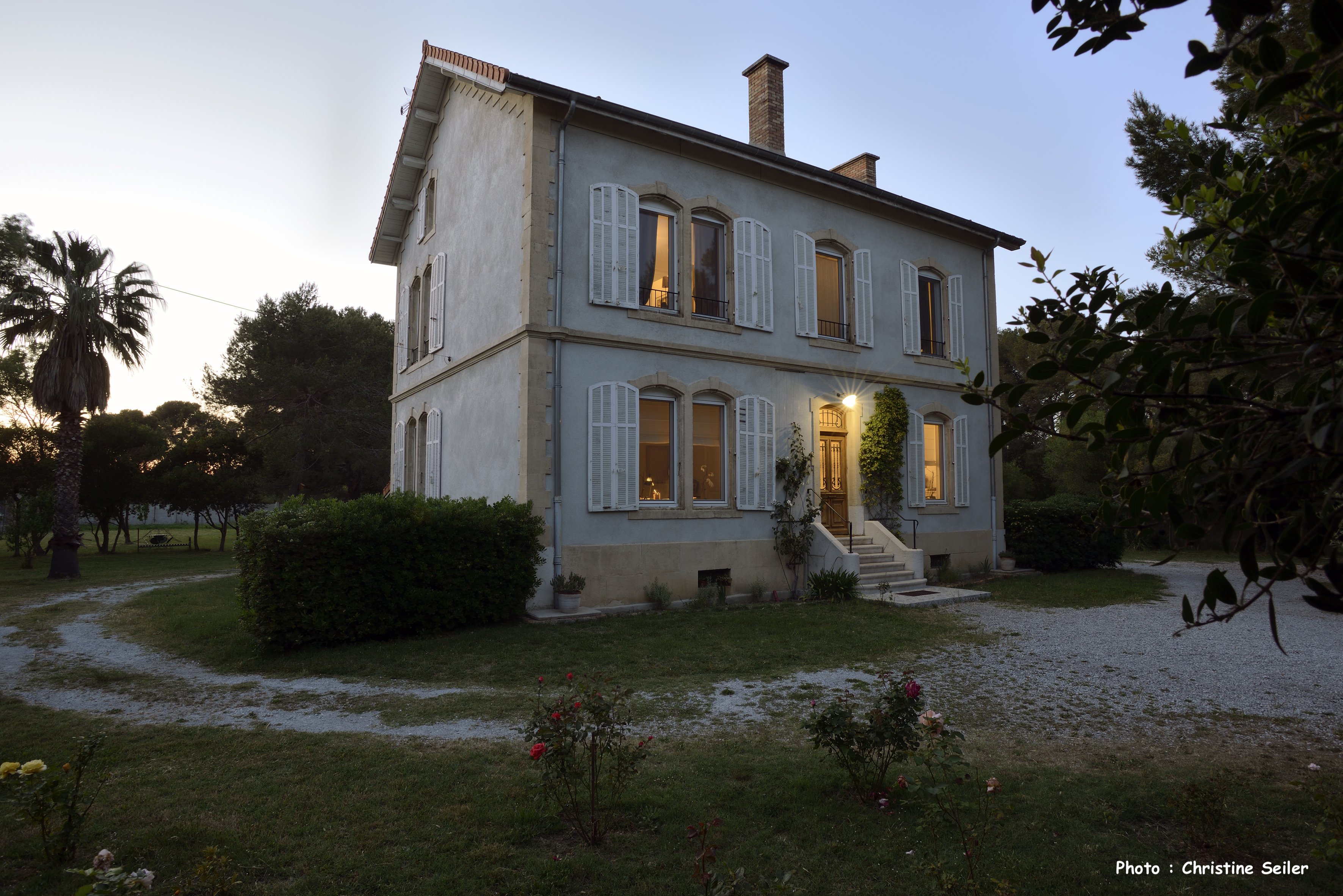 Un Nid en Camargue le soir