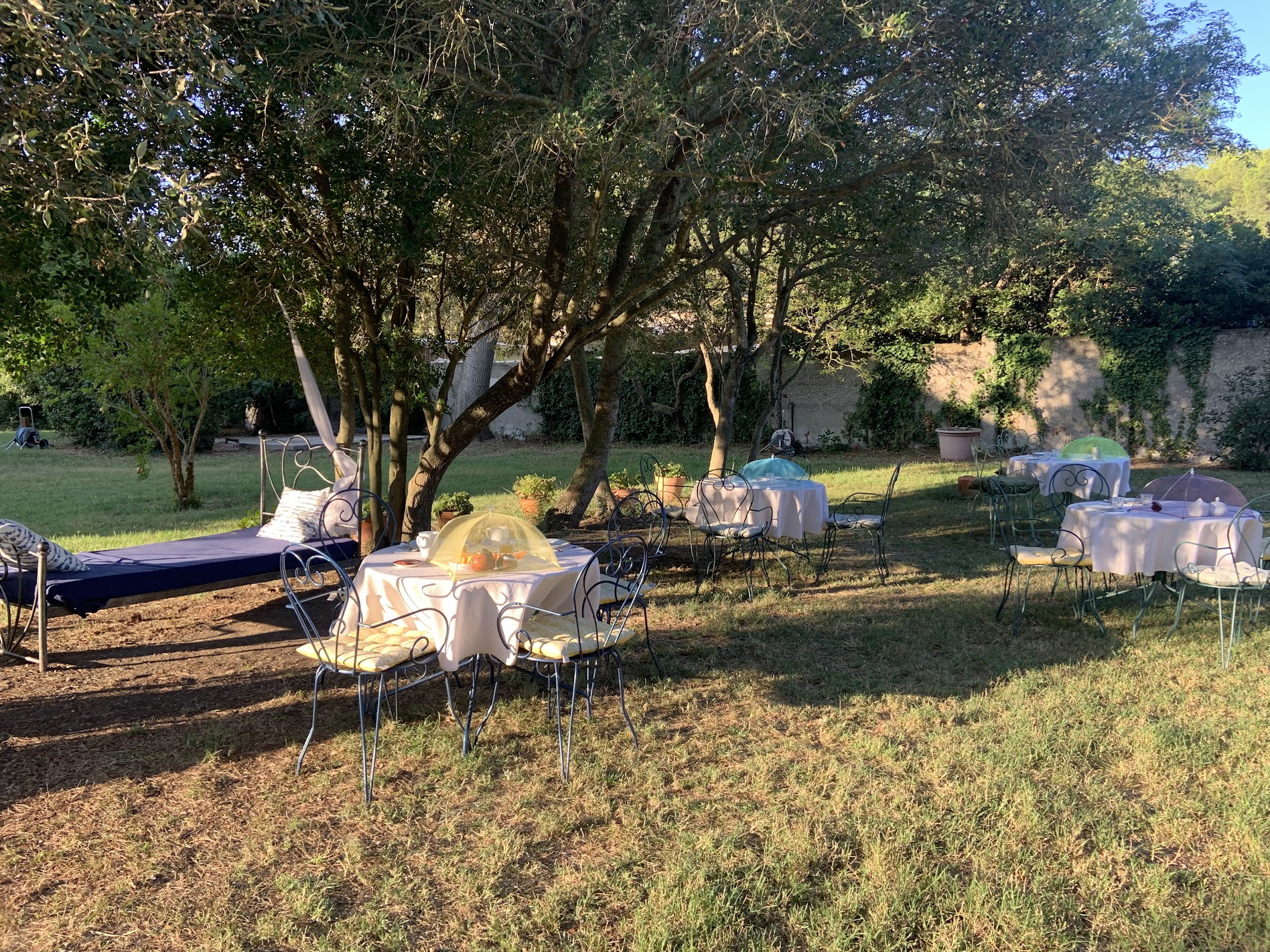 Petit déjeuner au jardin