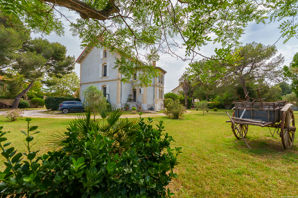 Vue depuis le jardin